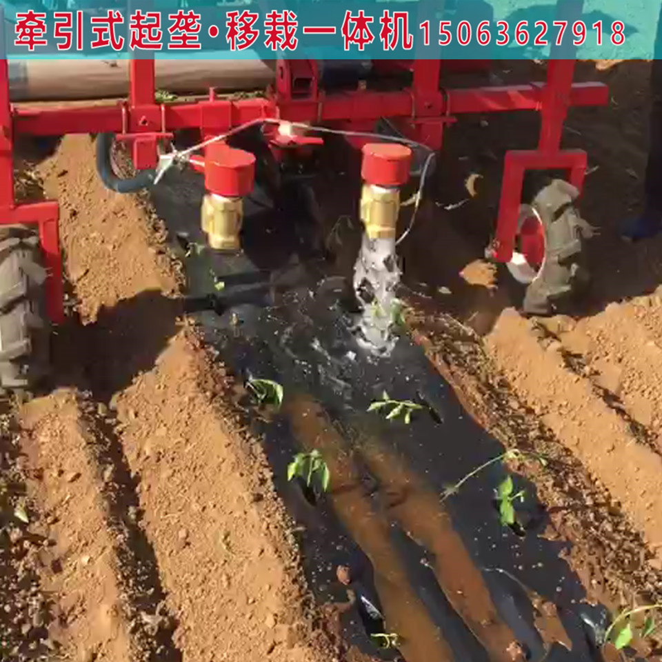 蔬菜移栽机厂家 菜花移栽机 娃娃菜移栽机