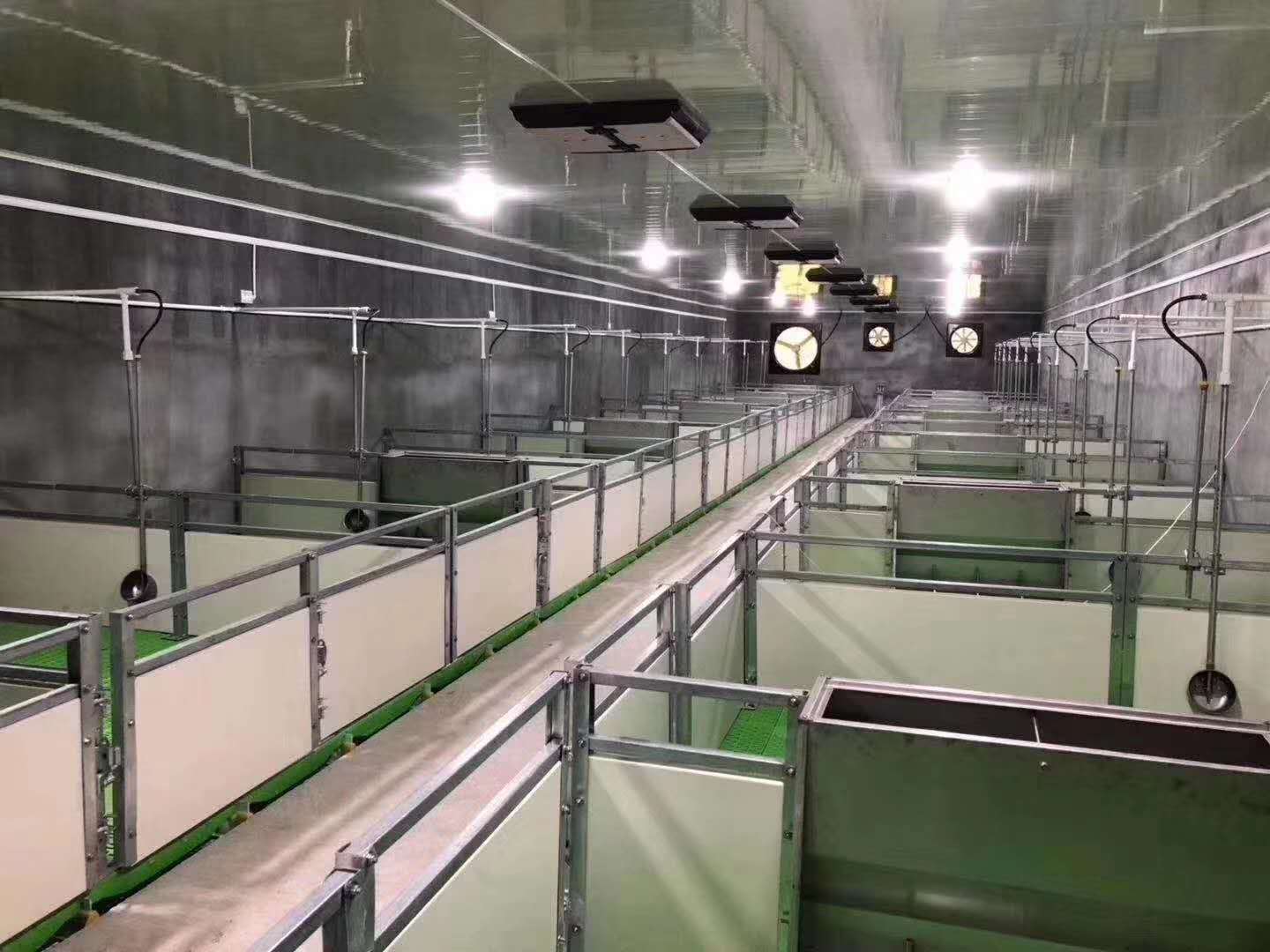朗嘉机械生产养猪专用不锈钢304料槽围栏厂家直供批发