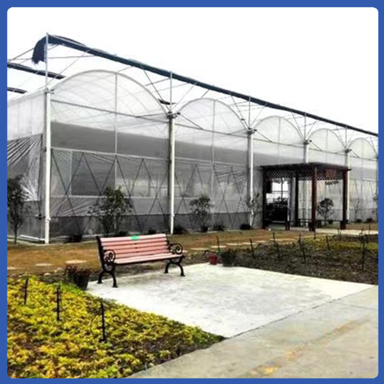 蔬菜暖棚 温室保温性能好 青州薄膜连栋温室成本低