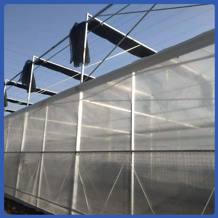 公司建设经济型温室 薄膜温室 蔬菜连栋温室 保温性能好