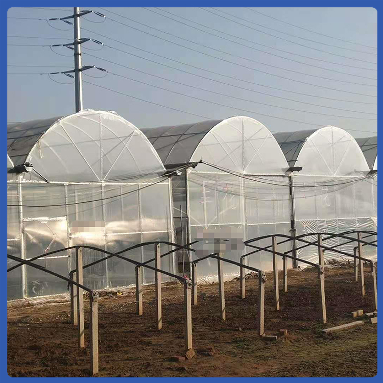种植大棚 青州连栋薄膜温室价格 造价优惠