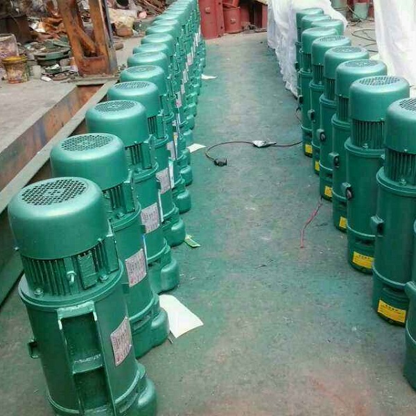 厂家供应电动葫芦 电动葫芦门式起重机 群吊葫芦 奥力斯 支持定制