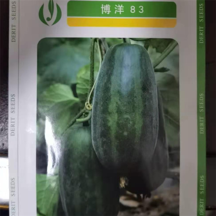 博洋甜瓜种子 抗病毒甜瓜种子 博洋83种子 批发好价