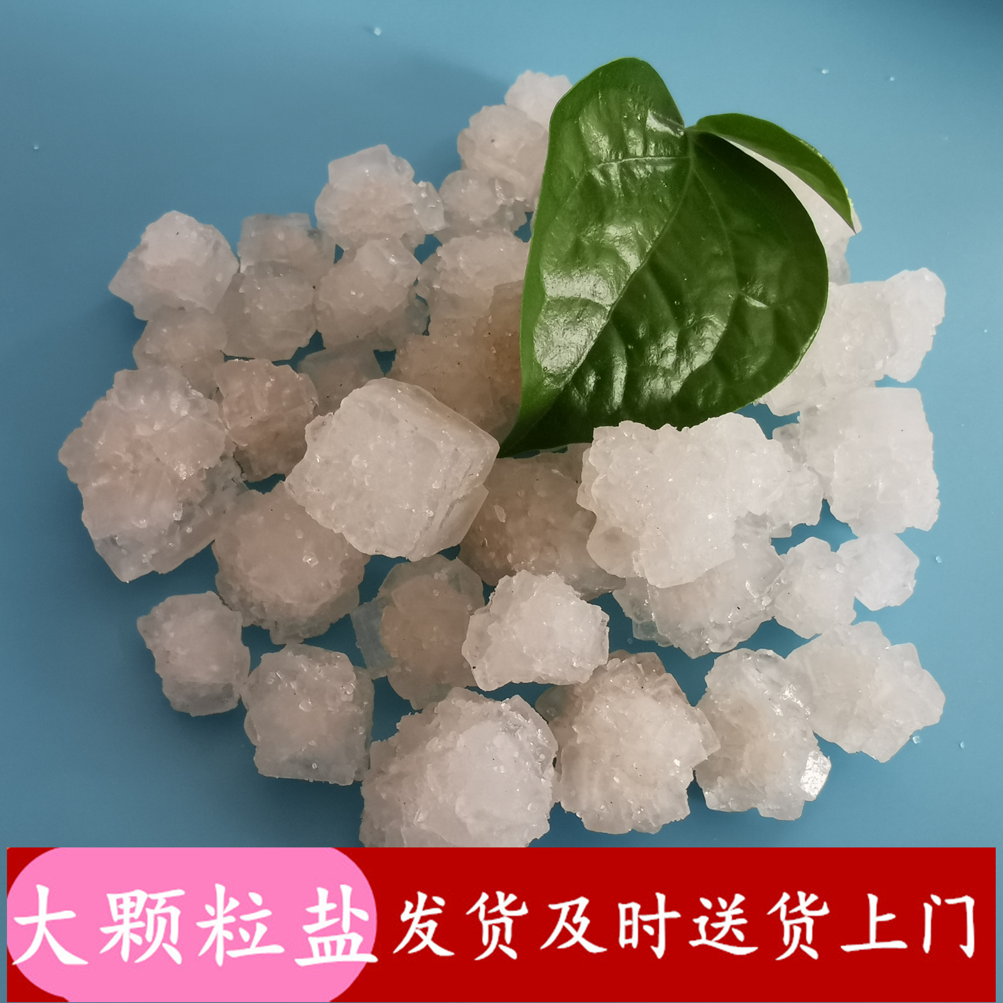 日晒原盐大颗粒盐 锅炉水处理用大颗粒盐 大颗粒工业盐批发厂家
