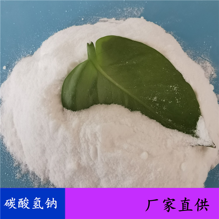 厂家直供工业级小苏打碳酸氢钠 99含量小苏打现货 送货上门