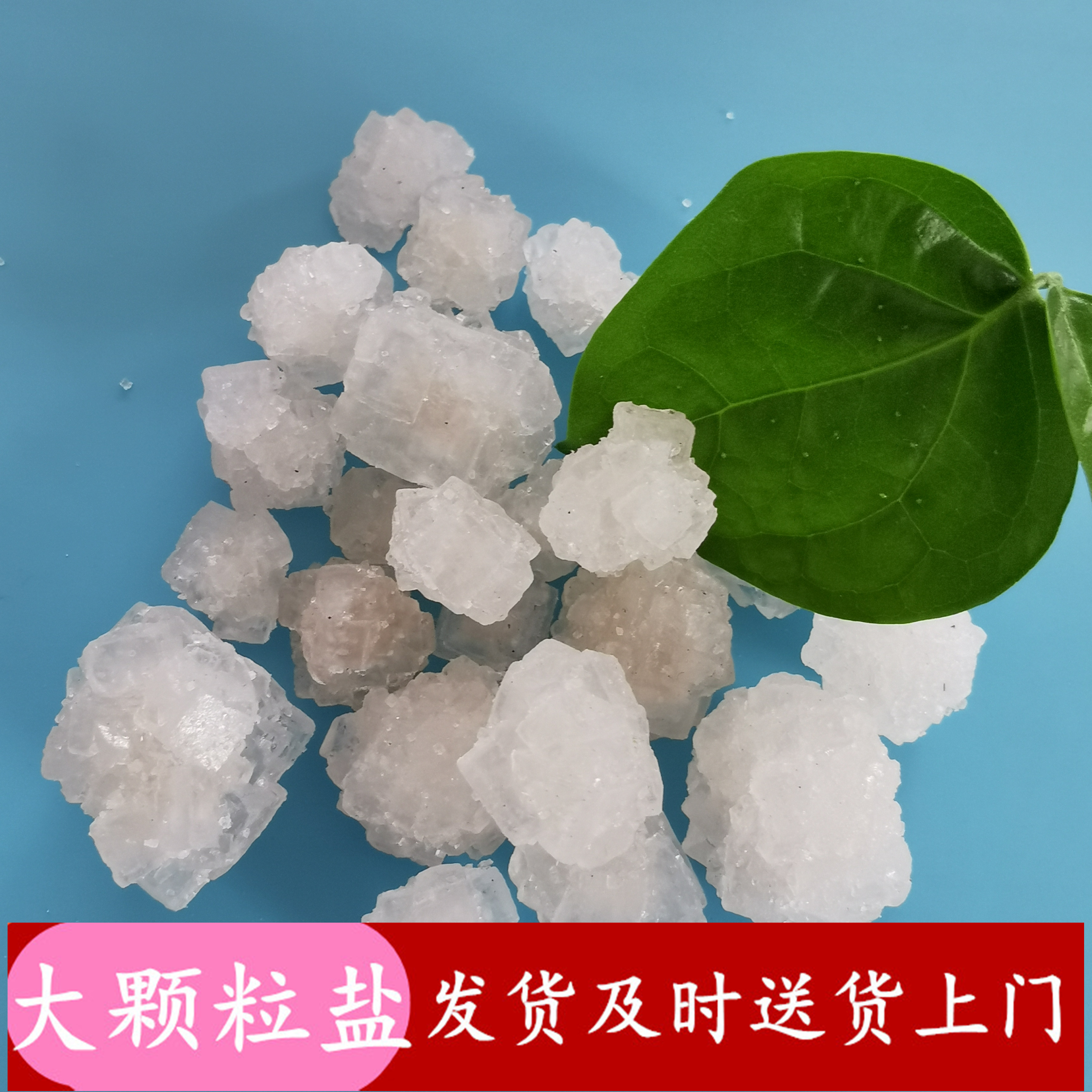 鼎昊现货大颗粒盐 日晒盐大颗粒 工业级大颗粒盐批发厂家