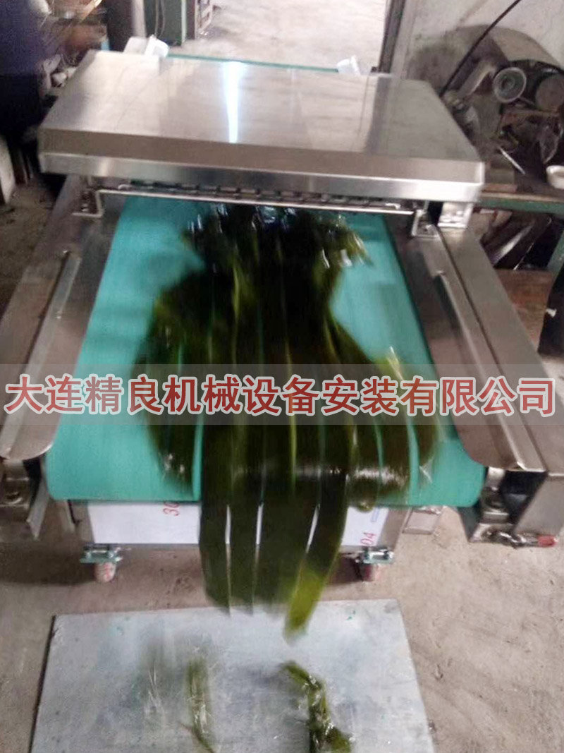 海带切条机   果蔬加工厂设备 多功能切菜机 