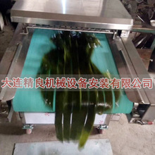 海带切条机   果蔬加工厂设备 多功能切菜机 