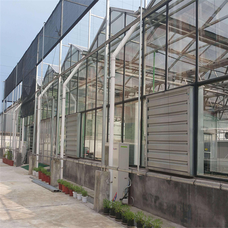 玻璃温室厂家 北方玻璃温室承建 文洛玻璃温室工程 