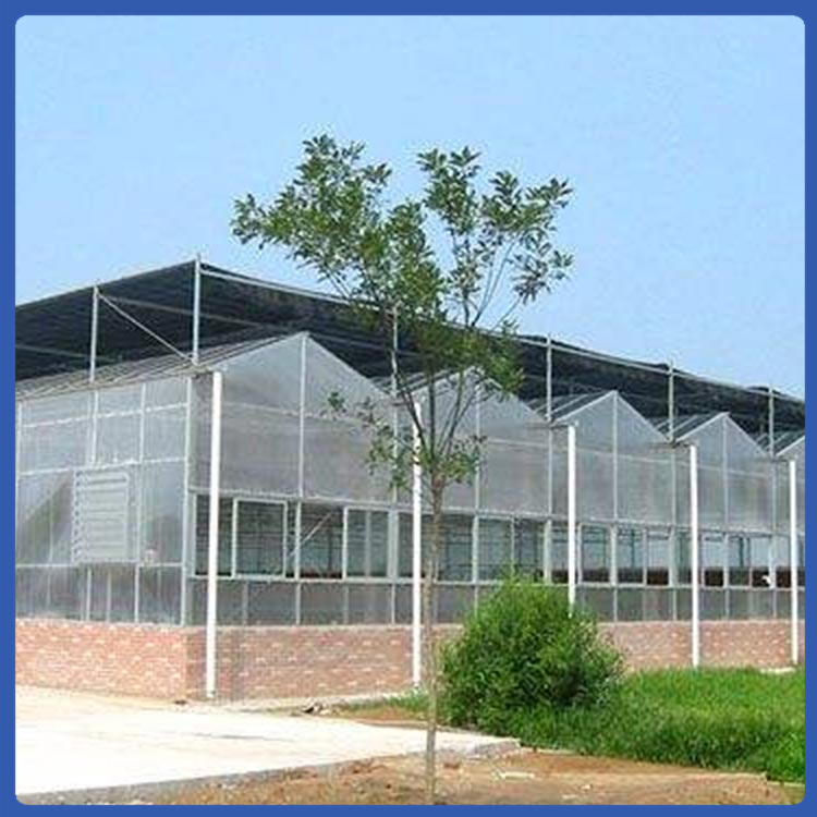 PC阳光板大棚 视觉流畅 青州阳光板温室建造
