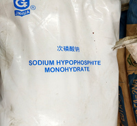 沈阳工业级次磷酸钠价格优惠 电镀原料次磷酸钠厂家直销