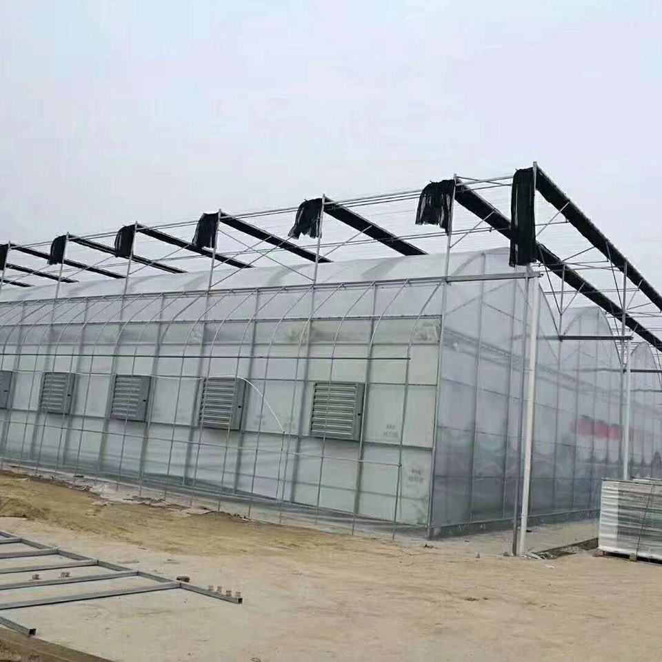 承建连栋温室 阳光板温室工程