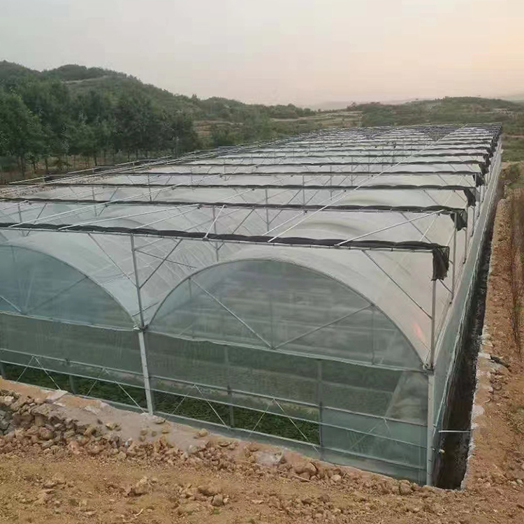 高远建设经济型温室 连栋薄膜温室 优良结构设计