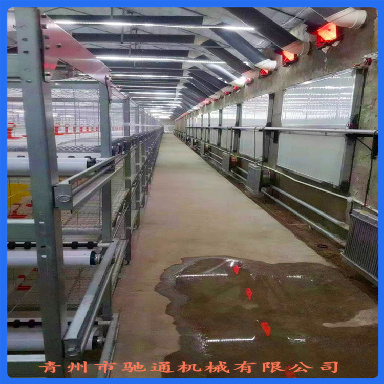 反烧养猪加温锅炉 养殖场加温设备 节能环保
