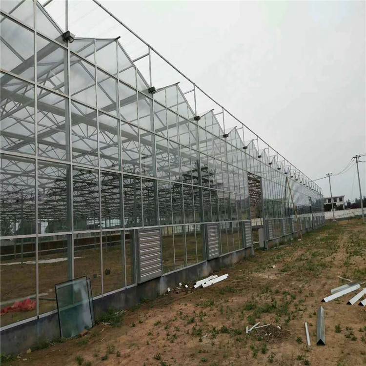 鋆成兴达承建玻璃温室 新型连栋玻璃温室 智能玻璃温室 温室配件 