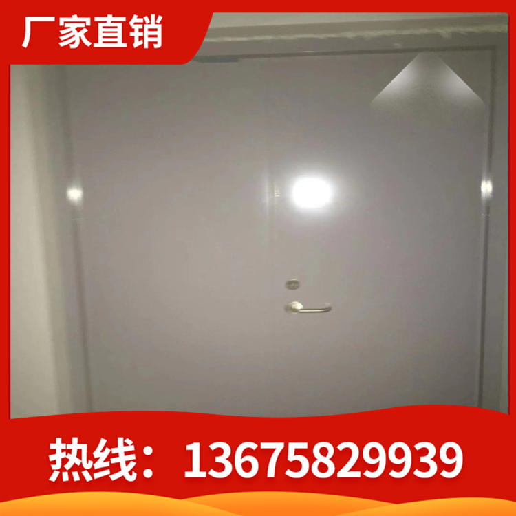 甲级防火门 防火门 不锈钢防火门 厂家钢质制甲乙防火门 