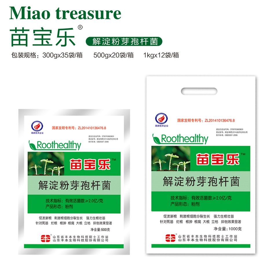 山东丰本批发苗宝乐 强力生根壮苗肥 苗宝乐批发