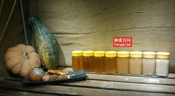 甘肃 五倍子蜂蜜厂家 全项检测合格