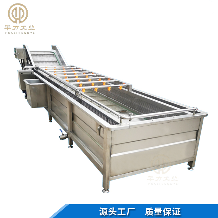 菌菇类清洗设备 百香果清洗机 叶类蔬菜清洗机