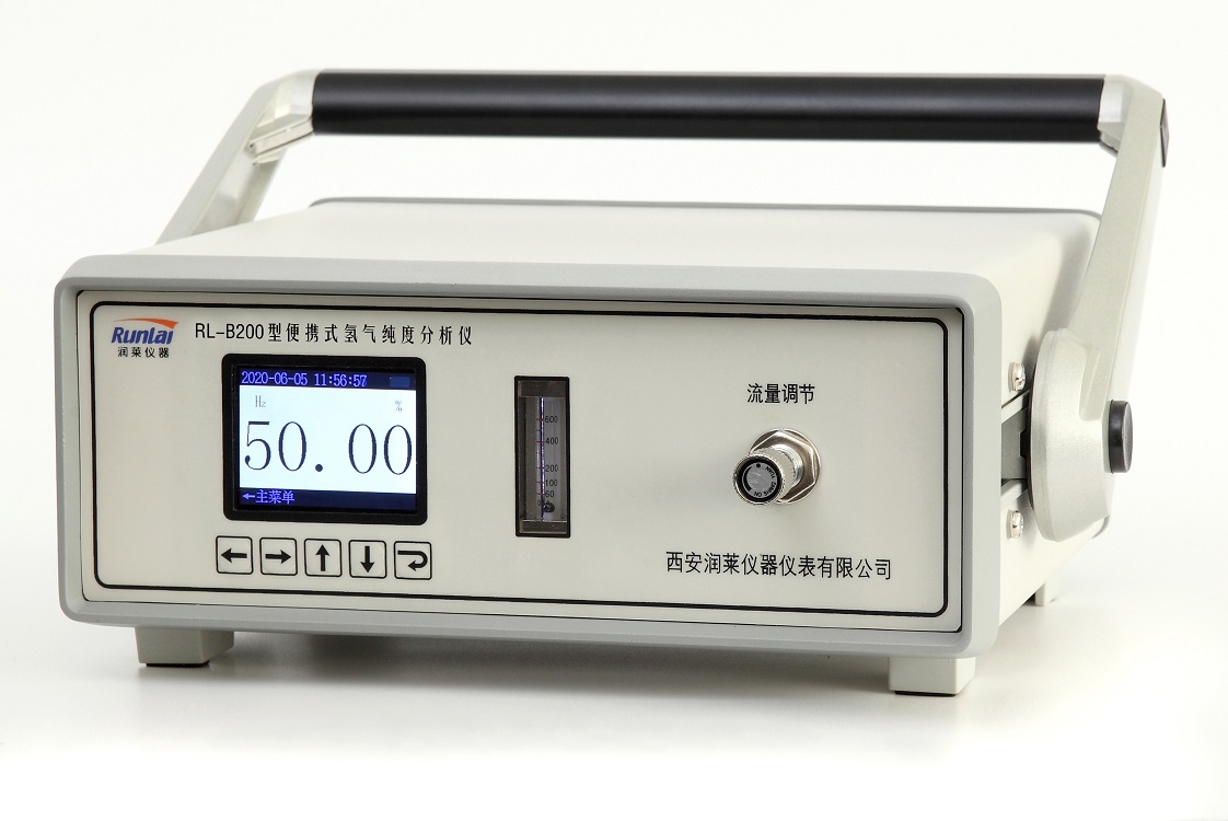 氢气分析仪  RL-B200型便携氢气分析仪   氢气分析仪厂家 