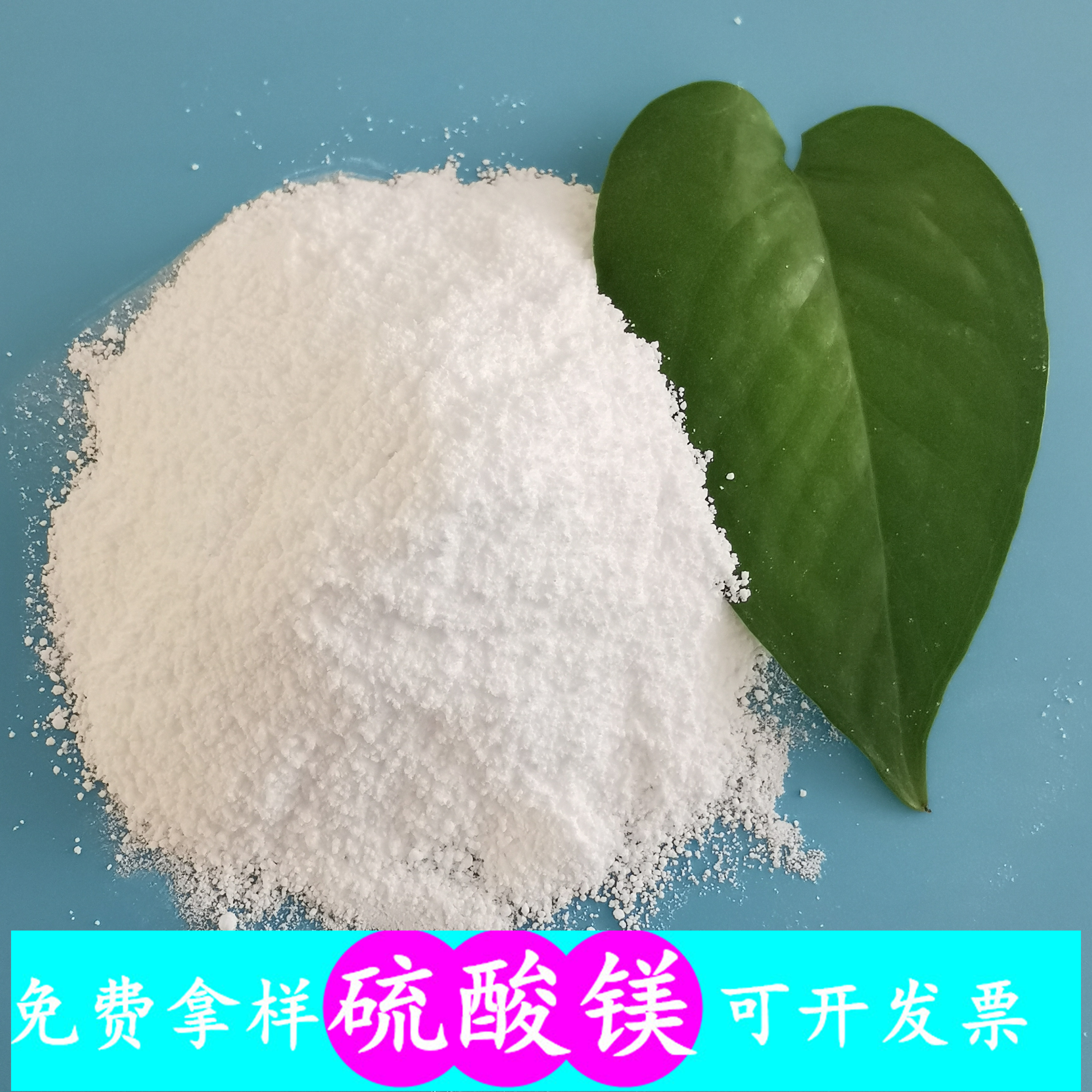 鼎昊现货硫酸镁 无水硫酸镁粉末 98含量工业级无水硫酸镁批发厂家