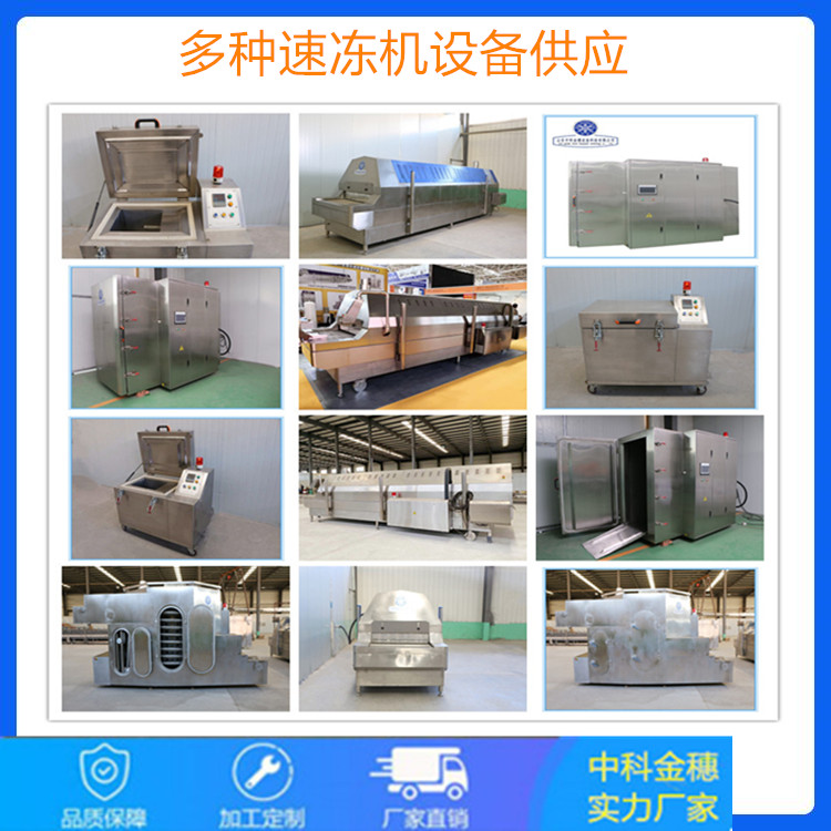 食品级304不锈钢螺旋速冻机 液氮螺旋速冻机厂家 