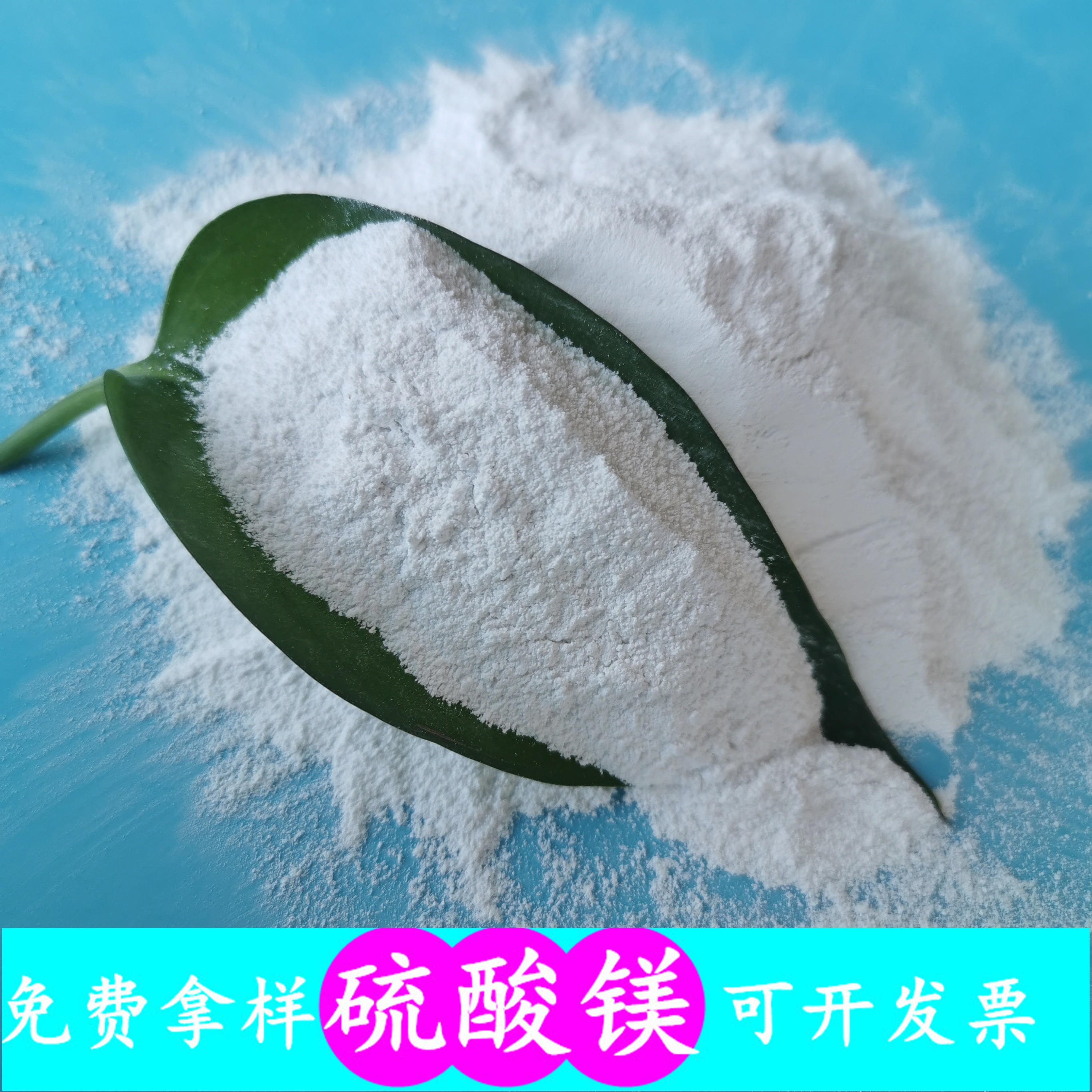 硫酸镁 工业级一水硫酸镁批发厂家 鼎昊现货硫酸镁 硫酸镁厂家