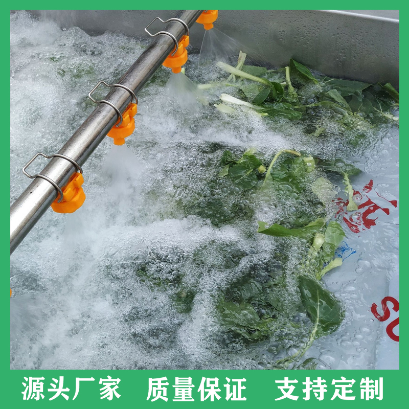 多功能鱼腥草高压喷淋气泡清洗机 全自动翻浪式白菜菠菜清洗设备 净菜加工设备厂家