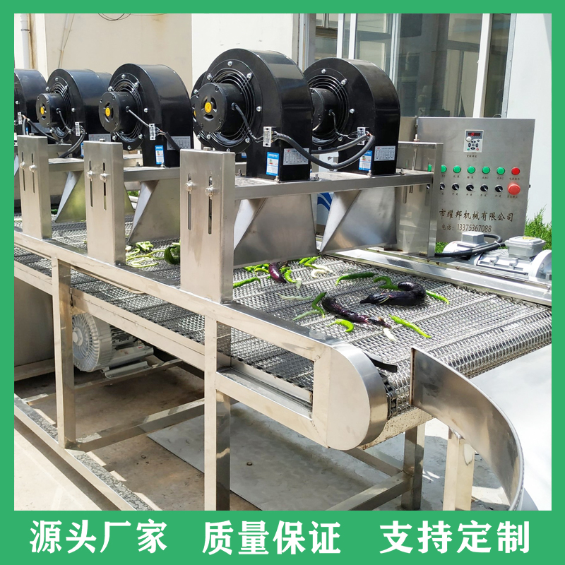 大型全自动气泡清洗机 高压喷淋大姜洗菜机 定制各种蔬菜水果清洗机