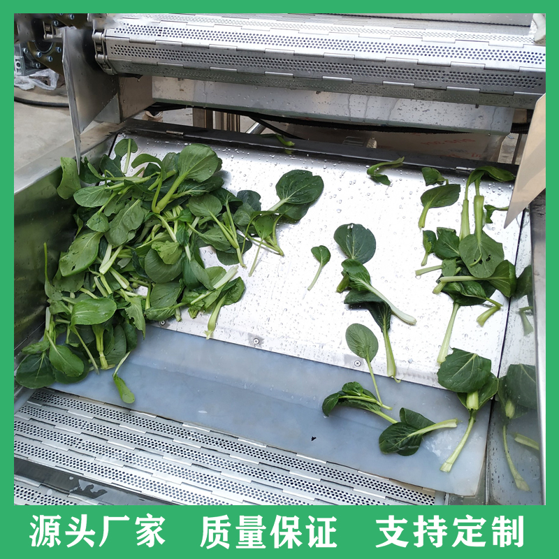 定做气泡清洗机 多功能果蔬清洗机 芦笋草莓翻浪式洗菜机 不锈钢蔬菜清洗机