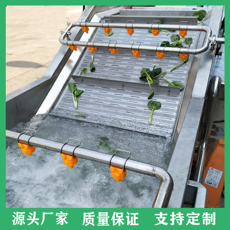 苋菜气泡清洗机 食堂用臭氧杀菌果蔬清洗机 脱水蔬菜深加工设备
