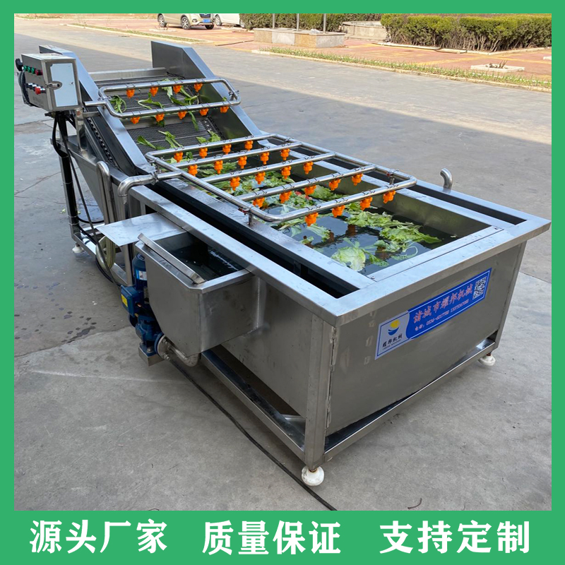 全自动水果蔬菜清洗机 气泡冲浪式叶类菜清洗机 臭氧去农残洗菜机设备