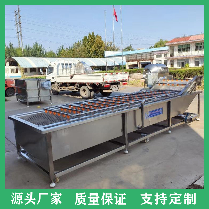 现货多功能果蔬清洗机 蔬菜水果气泡清洗机 商用全自动臭氧洗菜机工厂直供