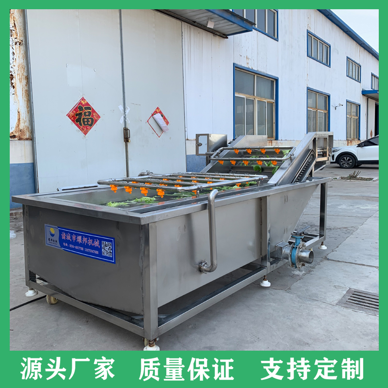 不锈钢全自动蔬菜清洗机 高压喷淋洗菜机设备 连续式大型果蔬清洗机