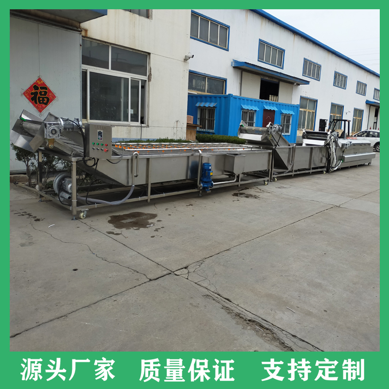 大型果蔬臭氧杀菌清洗设备 中药材毛豆鼓泡清洗机 喷淋式网带清洗机厂家