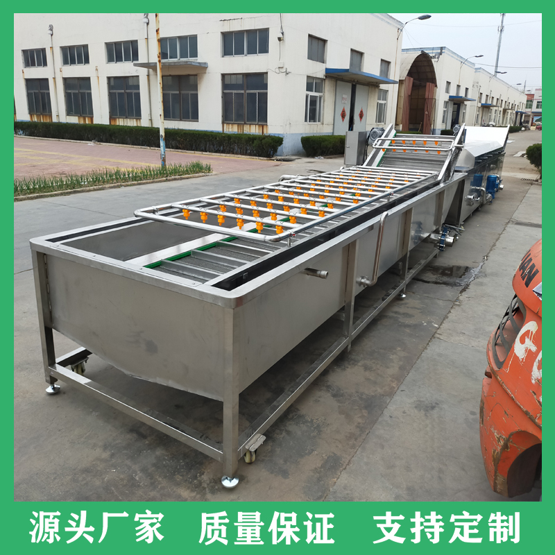 全自动翻浪式菠菜气泡清洗机 不锈钢多功能蔬菜清洗设备 净菜加工生产线