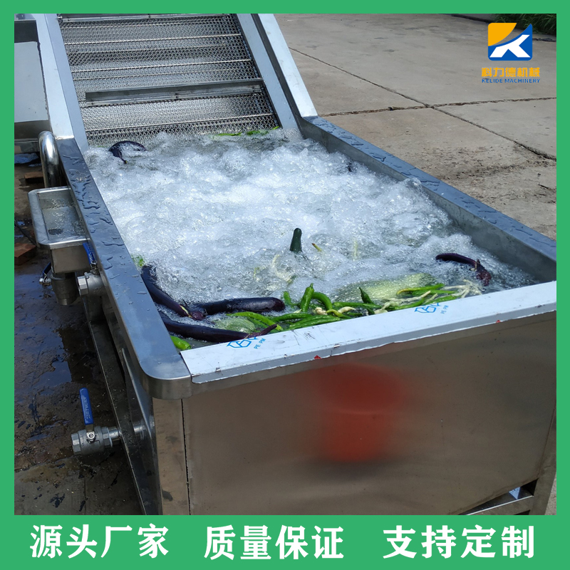 果蔬脱盐去泥清洗机 空心菜气泡翻浪式清洗设备 花椒豆角辣椒气泡清洗机