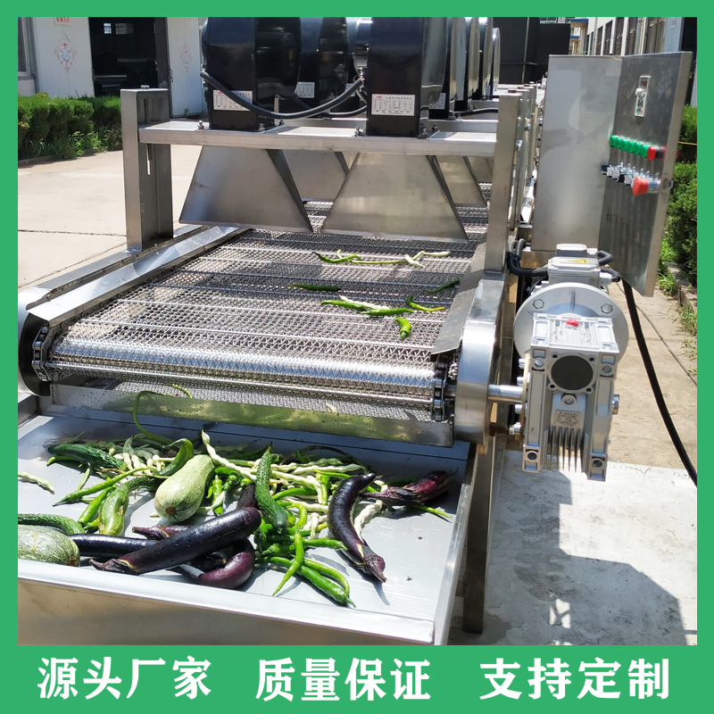 全自动高压喷淋洗菜机 多功能蔬菜气泡清洗机 蔬菜清洗风干线厂家直供