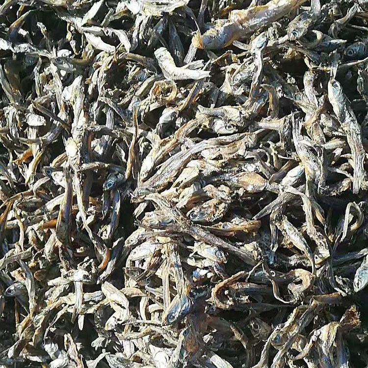 焜昊供应 脱脂鱼干 鱼干 饲料级小杂鱼干 质量放心