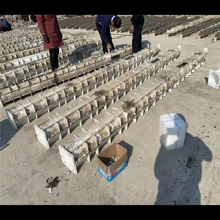 箱变基础模具 风电基础钢模板加工 箱变基础钢模具 致宏 源头厂家