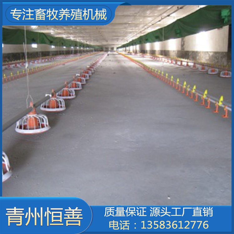 平养供水系统 水线定制生产 生产批发养鸡水线