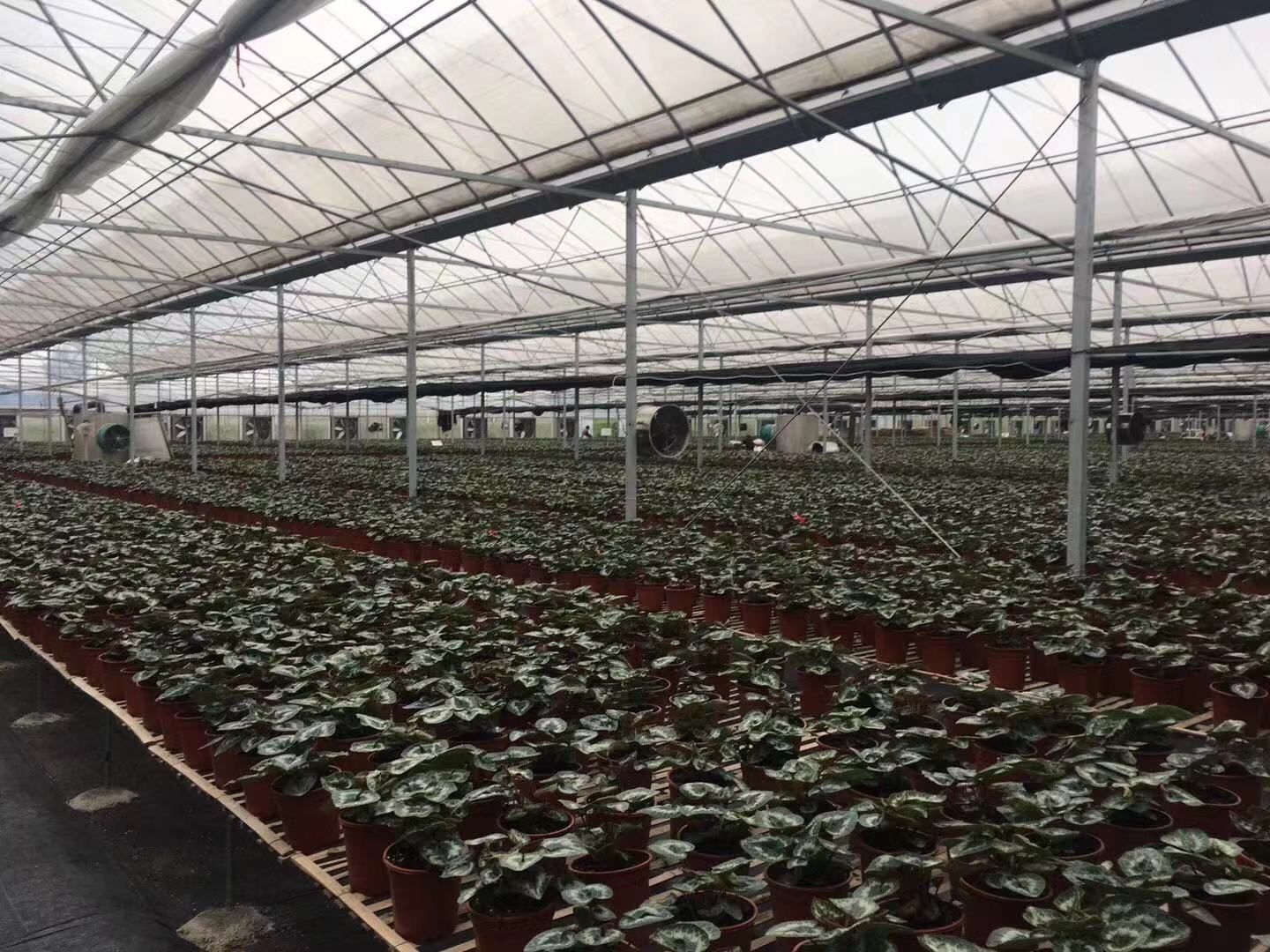 常德市工厂供应15瓦25瓦30瓦智能静音电热风机供暖设备促销价