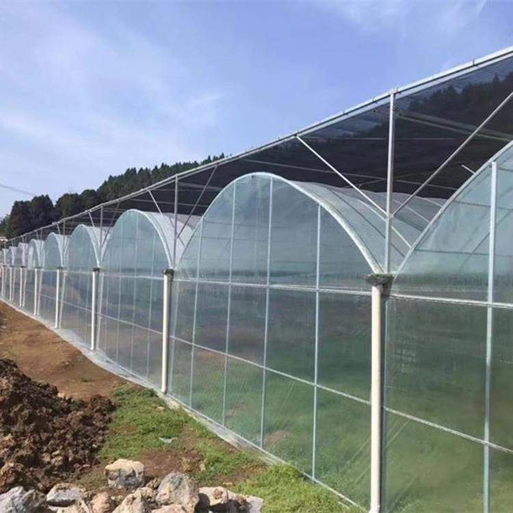阳凯薄膜温室设计安装 连栋薄膜温室工程 质量有保障