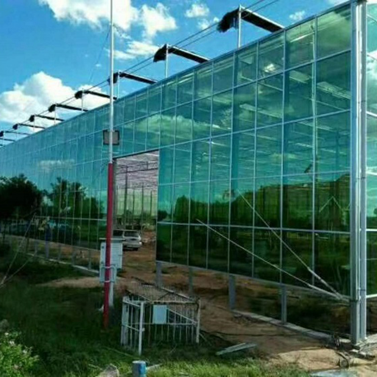 连栋薄膜温室价格 连栋薄膜温建设价格
