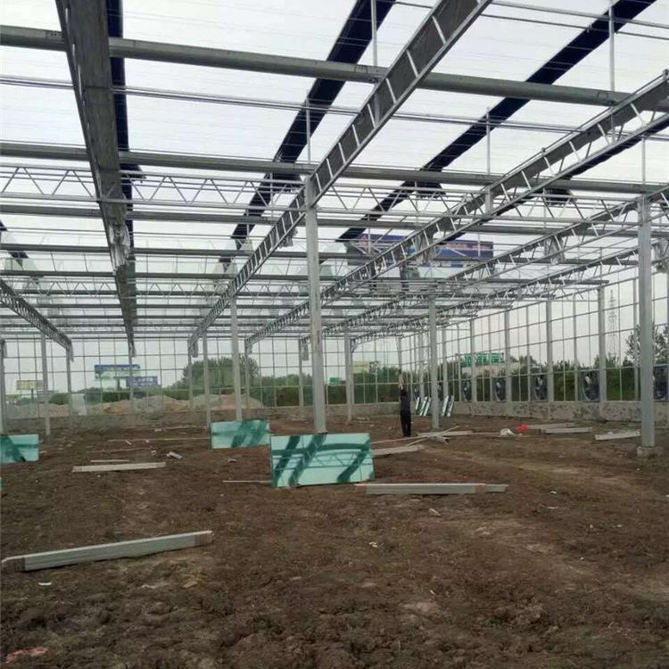 玻璃温室 温室大棚 玻璃大棚 厂家供应 质优价廉