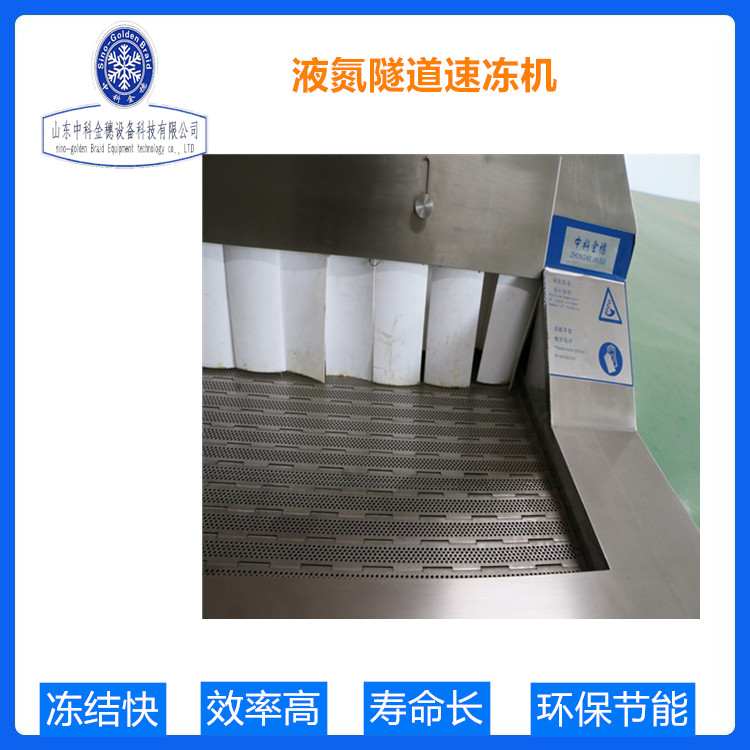 中科金穗 商用隧道速冻机  海鱼隧道速冻机 厂家直销