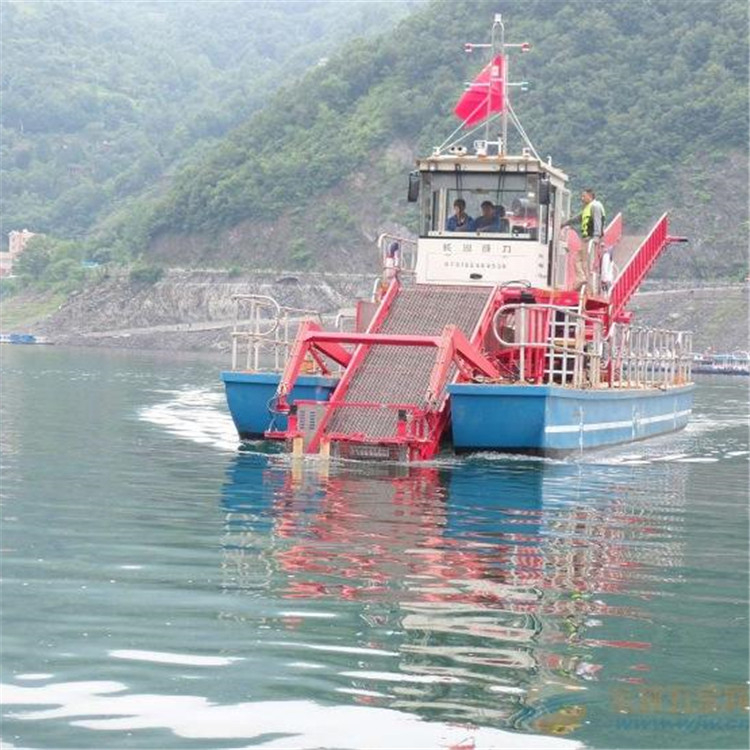 割草船生产厂家 小型割草船报价 山东割草船厂家