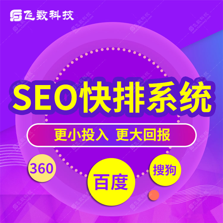 网络 优化推广选飞速排