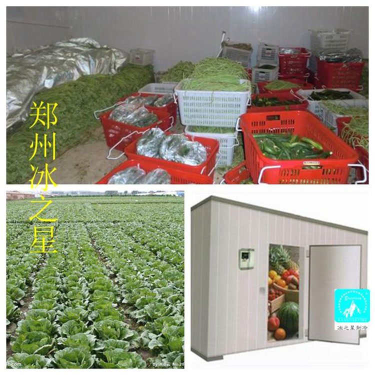 大型医药冷库 肉类冷冻库 厂家直销 价格实在
