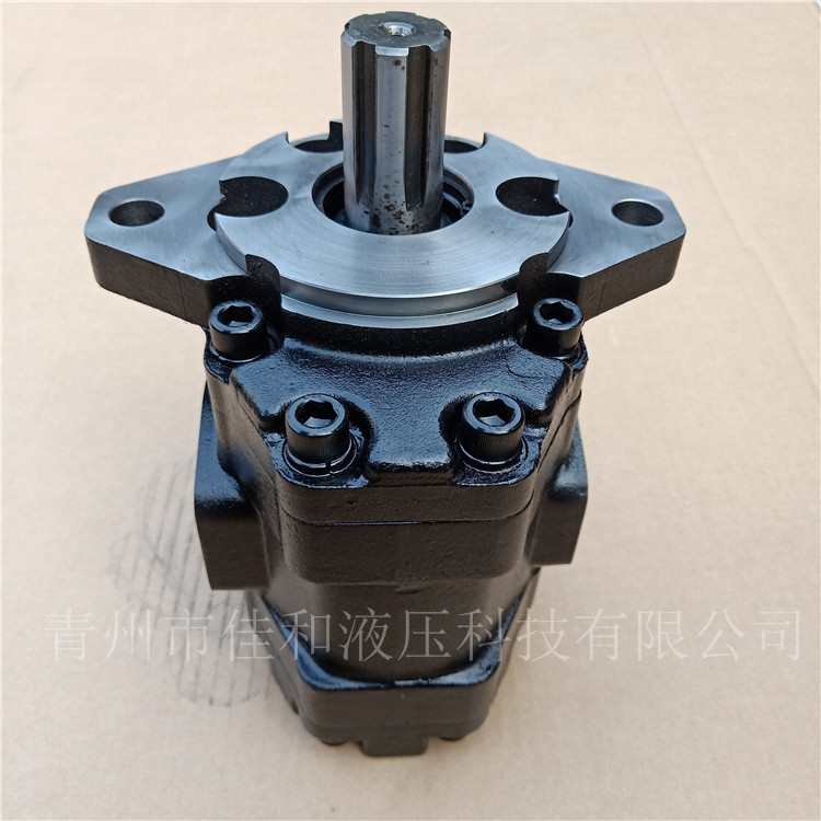 CBY3063-172L 四川长江液压泵配套产品 环卫车液压泵